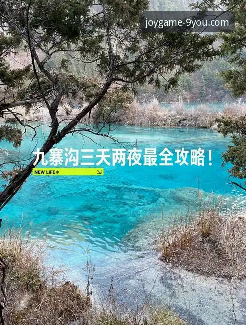 资深玩家带你玩转九游首发游戏：从下载到畅玩的完整心得